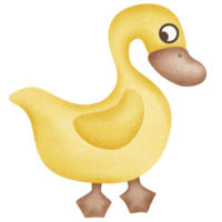Yellow cute duck png