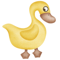 Jaune mignonne canard png