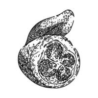 juice guava fruit sketch hand drawn vector