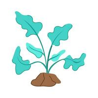 seaweed aquarium plant cartoon vector illustration