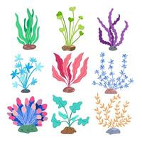 aquarium plant set cartoon vector illustration