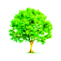 Green tree png generative ai