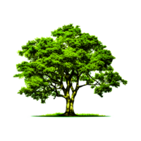 verde árbol png generativo ai