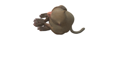 singe isolé sur une transparent Contexte png