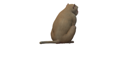 macaco isolado em uma transparente fundo png