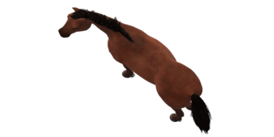 cavalo isolado em uma transparente fundo png