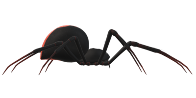 Spinne isoliert auf ein transparent Hintergrund png