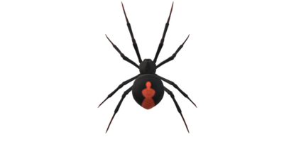 Spinne isoliert auf ein transparent Hintergrund png