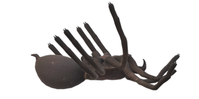 Spinne isoliert auf ein transparent Hintergrund png