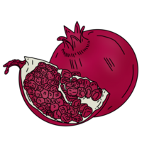 fruit de grenade rouge png