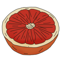 skiva grapefrukt png