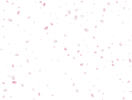 Primavera sakura fundo. png