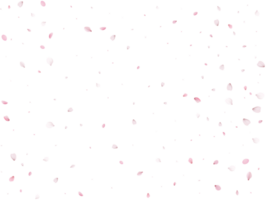 Frühling Sakura Hintergrund. png