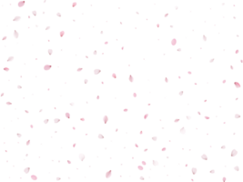 Primavera sakura fundo. png