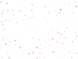 Primavera sakura fundo. png