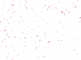 Spring Sakura Background. png