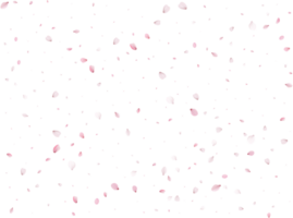 Primavera sakura fundo. png