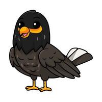 Cute myna bird cartoon posing vector