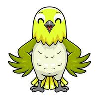 Cute warbling white eye bird cartoon vector