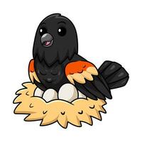 Cute red winged black bird cartoon with eggs in the nest vector