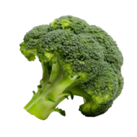 vers brocolli geïsoleerd. illustratie ai generatief png