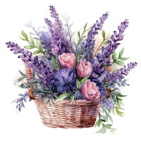 waterverf lavendel bloem boeket geïsoleerd png