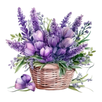 Watercolor lavender flower bouquet isolated png