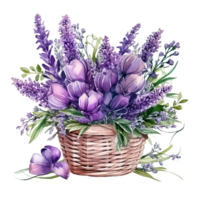 aguarela lavanda flor ramalhete isolado png