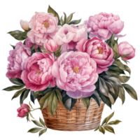 waterverf pioen bloemen boeket geïsoleerd png