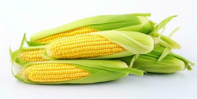 Corn with leaves and earns isolated photo