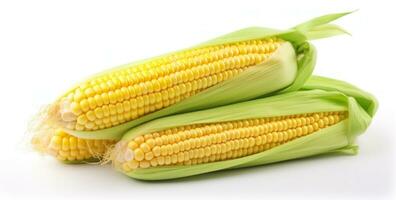 Corn with leaves and earns isolated photo