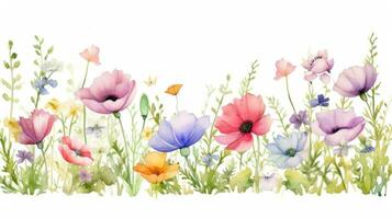 Watercolor floral border photo