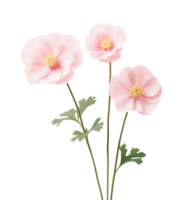 Cute pink flowers isolated png