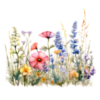 Colorful watercolor spring flowers bouquet png