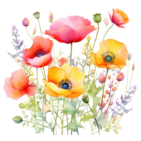 coloré aquarelle printemps fleurs bouquet png