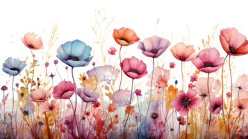 Watercolor floral border png