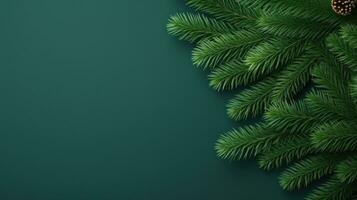 Christmas fir branch on green background photo