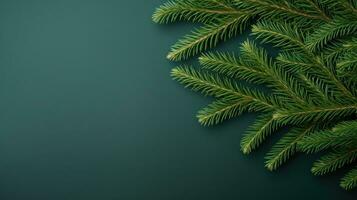 Christmas fir branch on green background photo