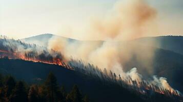 Forest fire background photo