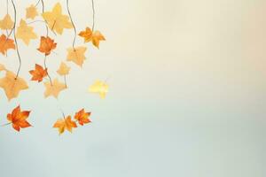 Autumn leaves background photo
