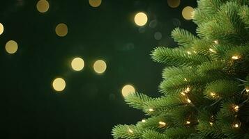 Christmas green background with fir branches photo