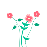 bouquet de fleurs png