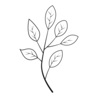 Elliptic Leaf Flower Graphic Sketch Drawing Outline Style png