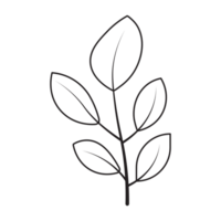 Lemon Leaf Flower Graphic Sketch Drawing Outline Style png