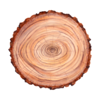 de madera muñón.a grande redondo pedazo de madera en cruzar sección con un anillo textura y grietas natural plano madera superficie. ilustración con marcadores y acuarela. png