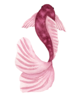 Watercolor fish illustration.Stylized style.Pink color fish. png