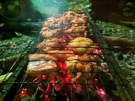 algunos piezas de pollo ese son siendo A la parrilla terminado el carbones de el fuego foto