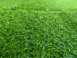Fresh green Japanese grass texture background photo
