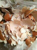 Close up of a pile of peeled egg shells photo