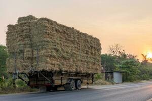 Rear view of many bales of rice straw piled on top of each other and tied with ropes on the platform of a truck. photo